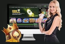 dadabet247